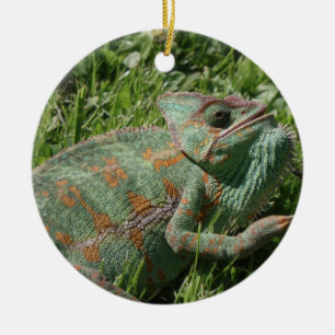 De Cerâmica Ornamento agressivo do camaleão