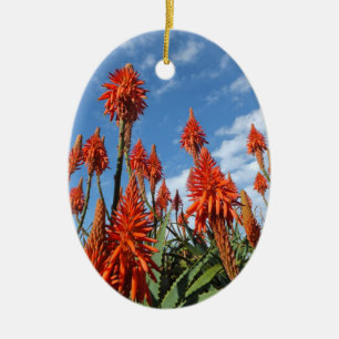 De Cerâmica Ornamento Aloe Arborescens, personalizar