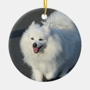 De Cerâmica Ornamento americano do cão Eskimo
