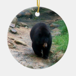 De Cerâmica Ornamento americano do urso preto