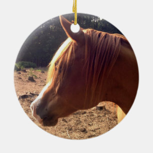 De Cerâmica Ornamento árabe do cavalo