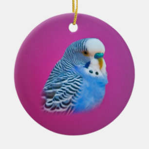 De Cerâmica Ornamento azul do Parakeet