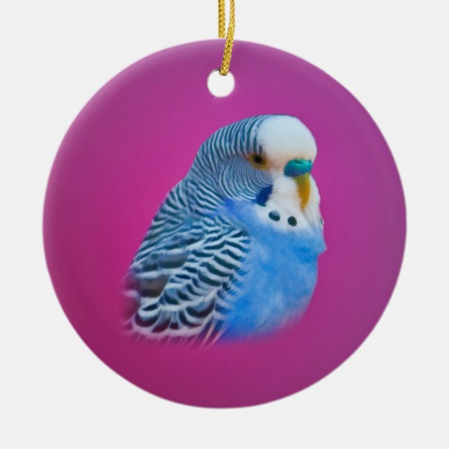 De Cerâmica Ornamento azul do Parakeet (Frente)