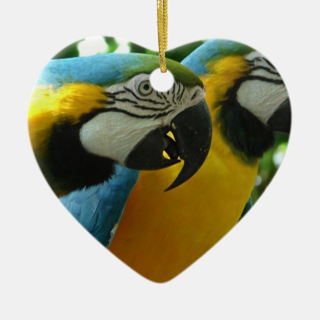 De Cerâmica Ornamento azul e Dourado dos Macaws (Frente)