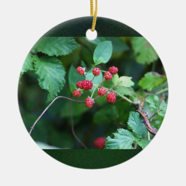 De Cerâmica Ornamento Berry Branches (Frente)