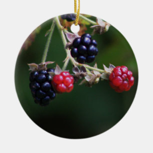 De Cerâmica Ornamento Berry Branches