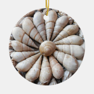 De Cerâmica Ornamento bonito da circular do Seashell