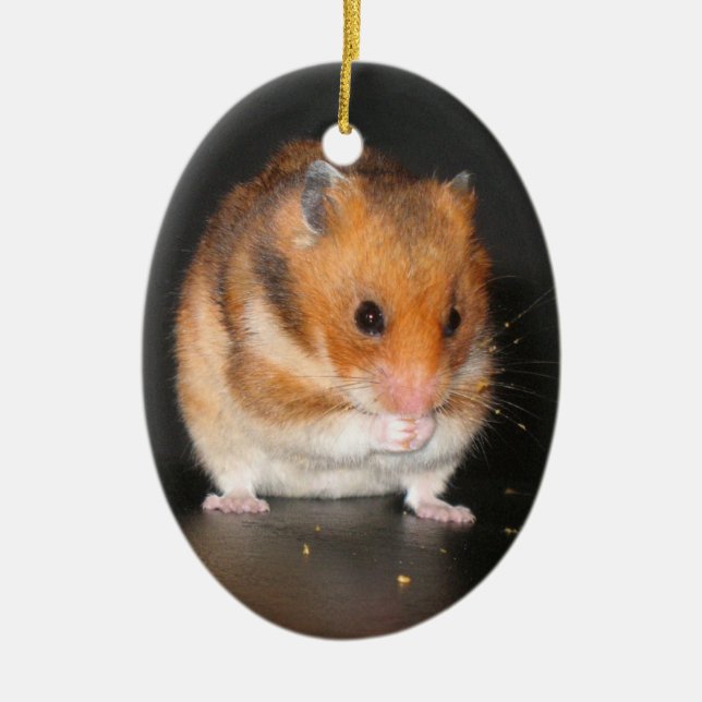 De Cerâmica Ornamento bonito do hamster (Frente)