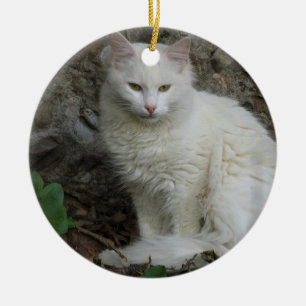 De Cerâmica Ornamento branco do gato