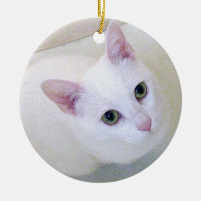 De Cerâmica Ornamento branco do gato (Frente)