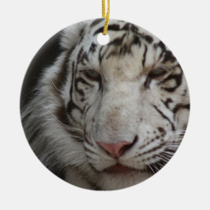 De Cerâmica Ornamento branco do tigre