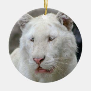 De Cerâmica Ornamento branco raro do tigre
