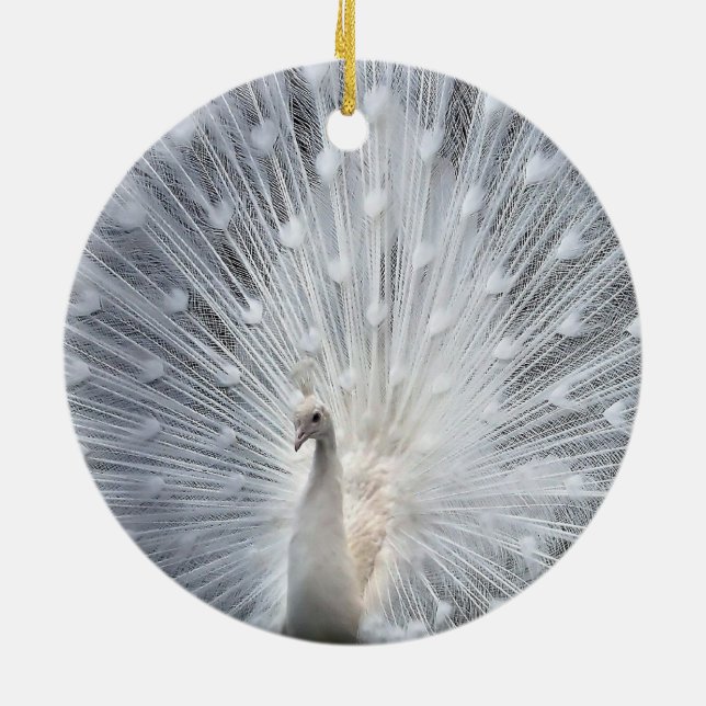De Cerâmica Ornamento brancos do pavão do White Christmas (Traseira)
