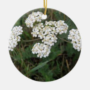 De Cerâmica Ornamento brancos dos Wildflowers