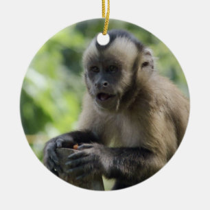 De Cerâmica Ornamento brincalhão do macaco