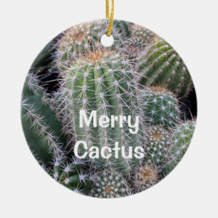 De Cerâmica Ornamento Cactus