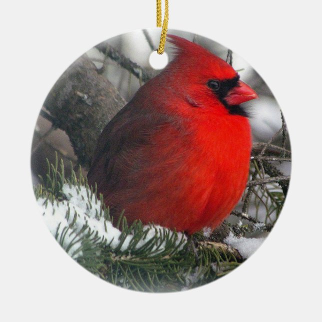De Cerâmica Ornamento cardinal (Frente)