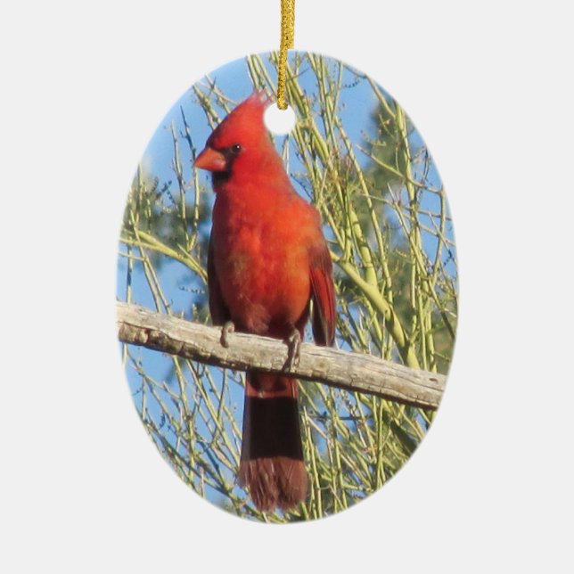 De Cerâmica Ornamento cardinal (Frente)