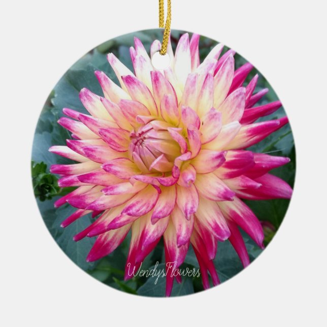 De Cerâmica ornamento cerâmico com dahlias rosa (Frente)