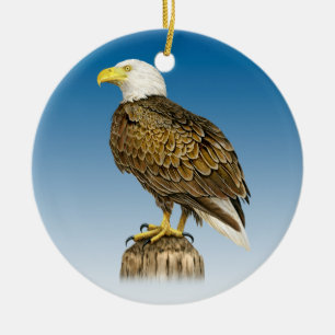 De Cerâmica Ornamento cerâmico da águia americana
