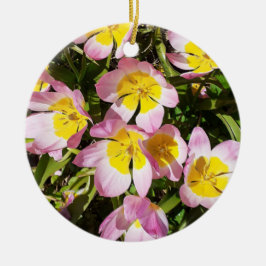 De Cerâmica Ornamento Cerâmico das Flores Rosa e Amarelo