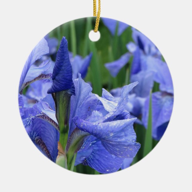 De Cerâmica Ornamento Cerâmico Iris Azul Escuro (Frente)