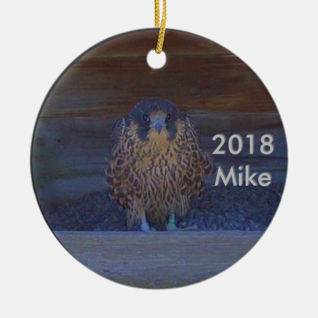 De Cerâmica Ornamento Cerâmico Mike 2018 (Frente)