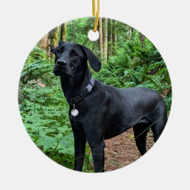 De Cerâmica ornamento cerâmico personalizável (Frente)