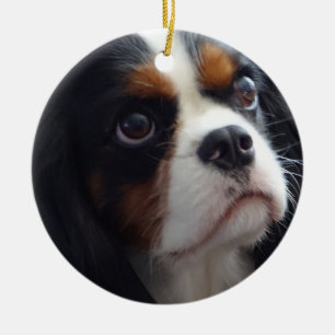 De Cerâmica Ornamento Cerâmico Tricolorido Cavalier