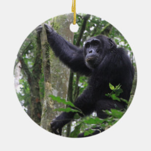 De Cerâmica Ornamento Chimpanzé