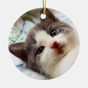 De Cerâmica Ornamento cinzento & branco do gatinho