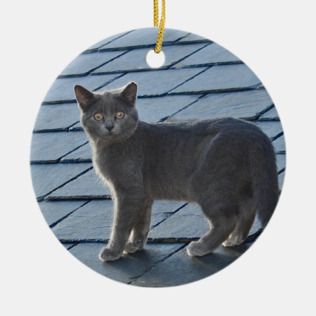 De Cerâmica Ornamento cinzento do gatinho (Frente)
