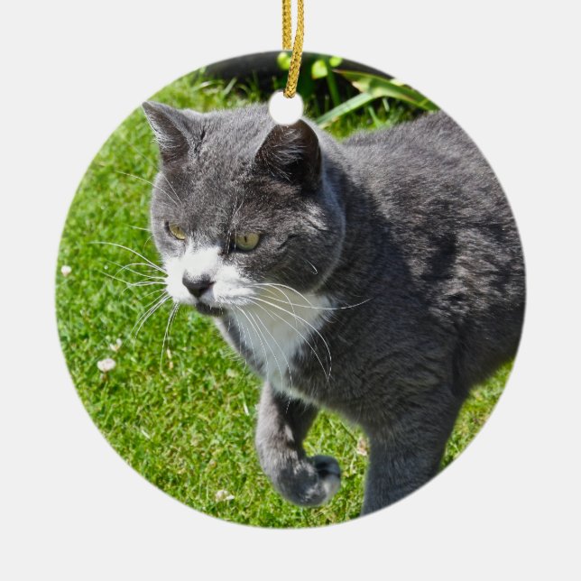 De Cerâmica Ornamento cinzento e branco do gato (Frente)