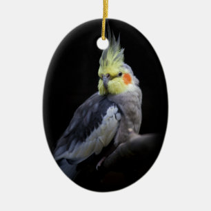 De Cerâmica Ornamento Cockatiel