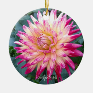De Cerâmica Ornamento com dahlias rosa