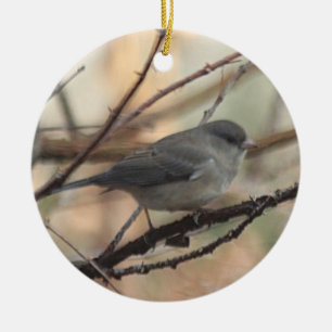 De Cerâmica Ornamento com Junco