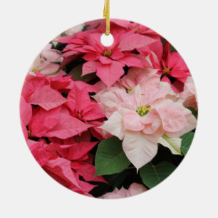 De Cerâmica Ornamento cor-de-rosa das poinsétias