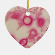 Ornamento Criptococico