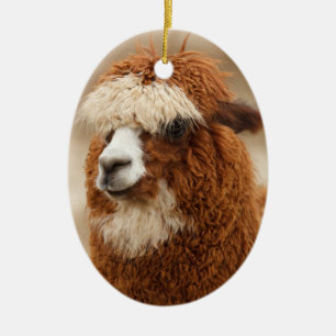 De Cerâmica Ornamento da alpaca