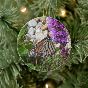 De Cerâmica ornamento da borboleta