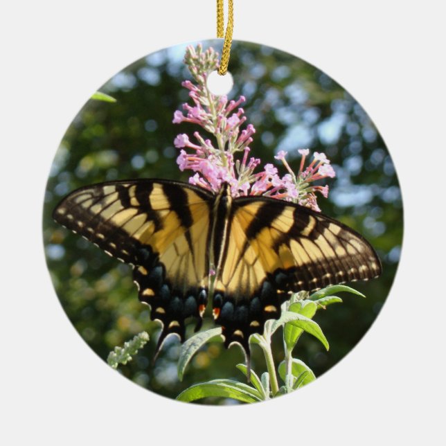 De Cerâmica Ornamento da borboleta (Frente)