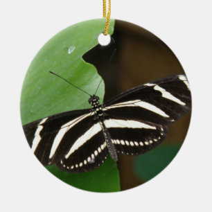 De Cerâmica Ornamento da Borboleta bonito Zebra Longwing