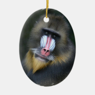 De Cerâmica Ornamento da cara do babuíno