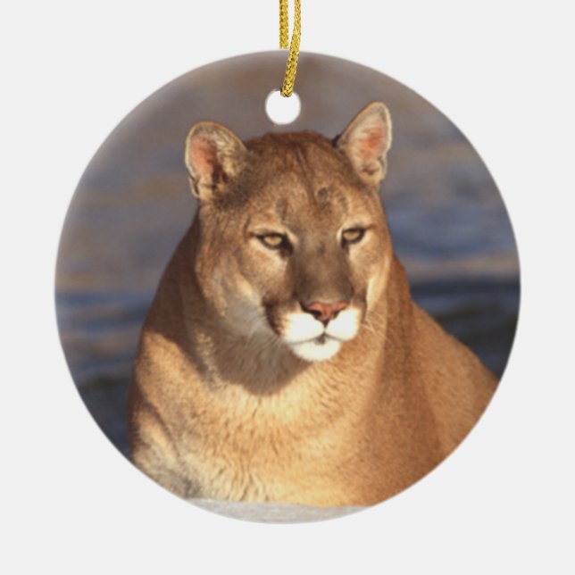 De Cerâmica Ornamento da cara do puma (Frente)