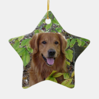 DE CERÂMICA ORNAMENTO DA ESTRELA DO GOLDEN RETRIEVER