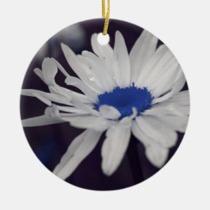 De Cerâmica Ornamento da Flor Azul Central Daisy