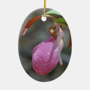 De Cerâmica Ornamento da Flor do Slipper Rosa