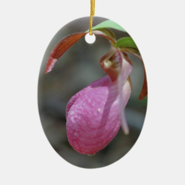 De Cerâmica Ornamento da Flor do Slipper Rosa (Frente)