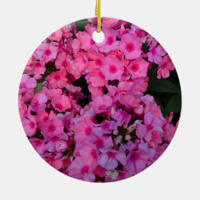 De Cerâmica Ornamento da Flor Rosa (Traseira)
