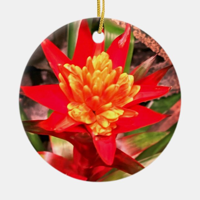De Cerâmica Ornamento da Flor Vermelha (Frente)